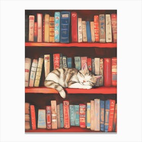 Book Lover's Bookshelf Canvas Print