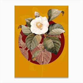 Vintage Botanical Japanese Camellia Camelia Japonica on Circle Red on Yellow n.0009 Canvas Print