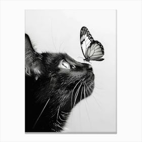 Black And White Cat With Butterfly Canvas Print