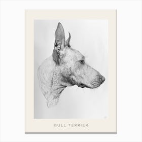Bull Terrier Dog Line Sketch 2 Poster Canvas Print