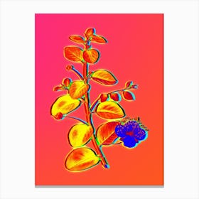 Neon Caper Plant Botanical in Hot Pink and Electric Blue n.0280 Canvas Print