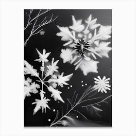 Delicate, Snowflakes, Black & White 2 Canvas Print