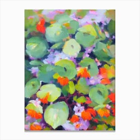 Bromeliad Impressionist Painting Plant Canvas Print