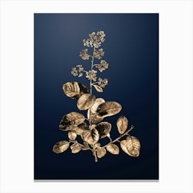 Gold Botanical European Smoketree on Midnight Navy n.2091 Canvas Print