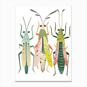 Colourful Insect Illustration Grasshopper 1 Canvas Print