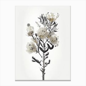 Silver Torch Joshua Tree Gold And Black (1) Canvas Print
