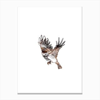 Brown Bird 2 Canvas Print