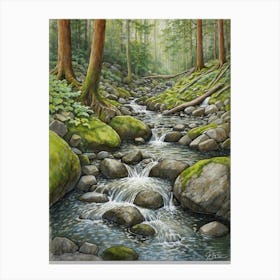 Stream In The Forest 1 Canvas Print