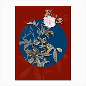 Vintage Botanical White Rose of York on Circle Blue on Red n.0316 Canvas Print