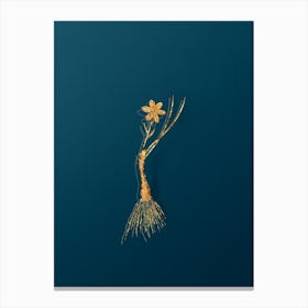 Vintage Snowdon Lily Botanical in Gold on Teal Blue n.0037 Canvas Print