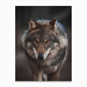 Wilderness Wolf Canvas Print