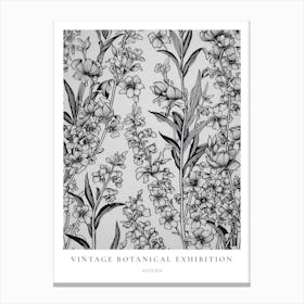 Wisteria B&W Vintage Botanical Poster Canvas Print