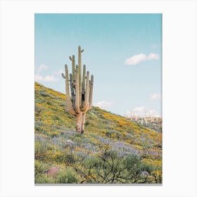 Saguaro Wildflowers Canvas Print