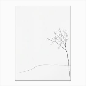 Bare Tree 4 Canvas Print