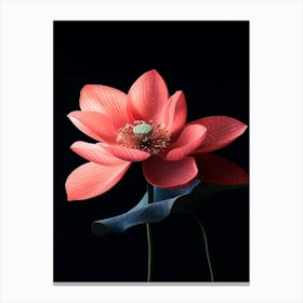 Lotus Flower 13 Canvas Print