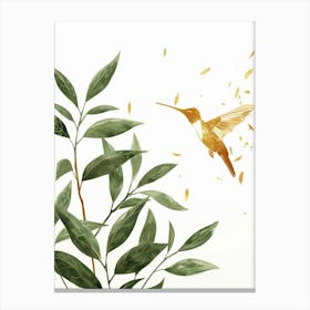 Hummingbird 14 Canvas Print