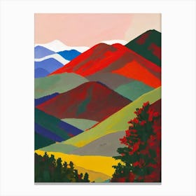 Rocky Mountain National Park United States Of America Abstract Colourful Canvas Print