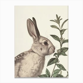 Florida White Blockprint Rabbit Illustration 6 Canvas Print
