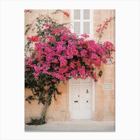 Climbing Bougainvillea Canvas Print