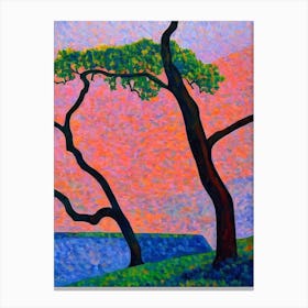 Sand Live Oak Tree Cubist Canvas Print