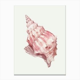 Pink Seashell 2 Canvas Print