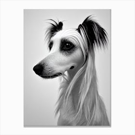 Chinese Crested B&W Pencil dog Canvas Print