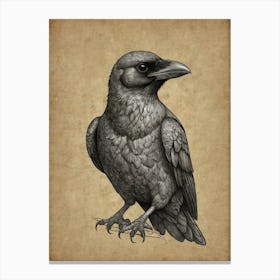 Crow! 2 Canvas Print