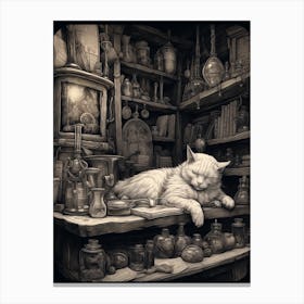 A Fluffy Cat Sleeping On The Desk In An Alchemy Black Etching Canvas Print