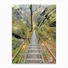 Downward in the Elbe Sandstone Mountains Canvas Print