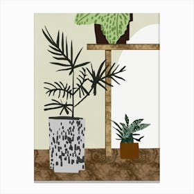 Houseplants Canvas Print