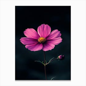 Cosmos Flower 1 Canvas Print