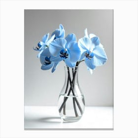 Blue Orchids In Vase Canvas Print