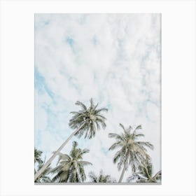 Palm Trees In The Sky In Indonesia Canvas Print