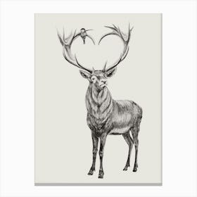 Deer With Heart Shaped Antlers Canvas Print