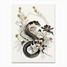 Mexican Dusky Rattlesnake Gold And Black Canvas Print