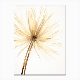 Dandelion Canvas Print