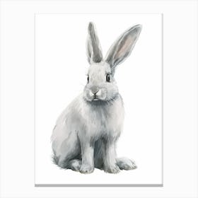 English Silver Rabbit Kids Illustration 4 Canvas Print