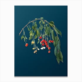 Vintage Visciola Cherries Botanical Art on Teal Blue n.0879 Canvas Print