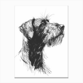 German Wirehaired Pointer Dog Charcoal Line 1 Canvas Print