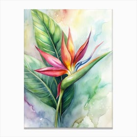 Bird Of Paradise 3 Canvas Print