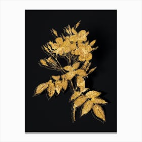 Vintage Musk Rose Botanical in Gold on Black n.0539 Canvas Print