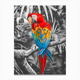 Macaw Parrot Canvas Print