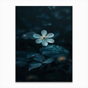 Dark Blue Flower 12 Canvas Print