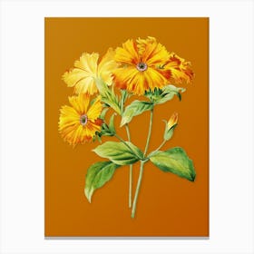 Vintage Lychnis Grandiflora Botanical on Sunset Orange n.0255 Canvas Print