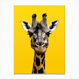 Giraffe 6 Canvas Print