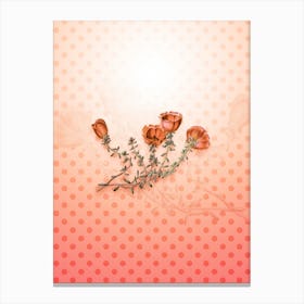 Gillies Purslane Flower Vintage Botanical in Peach Fuzz Polka Dot Pattern n.0239 Canvas Print