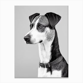 Plott Hound B&W Pencil dog Canvas Print