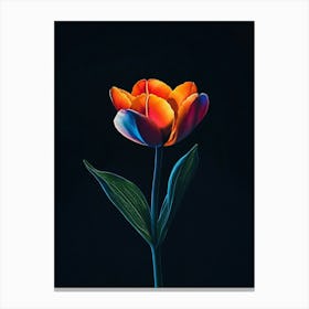 Tulip 6 Canvas Print