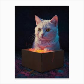 Cat In A Box 3 Canvas Print