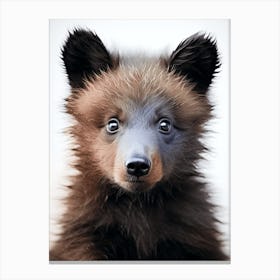 Color Photograph Of A Bear Cub 1 Canvas Print